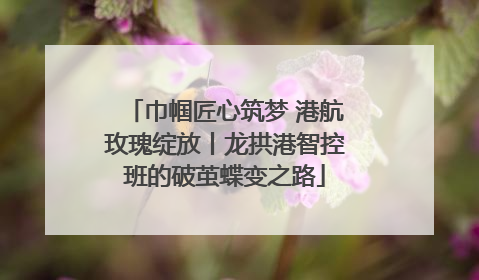 巾帼匠心筑梦 港航玫瑰绽放丨龙拱港智控班的破茧蝶变之路