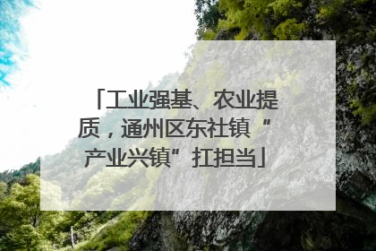 工业强基、农业提质，通州区东社镇“产业兴镇”扛担当