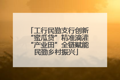 工行民勤支行创新“蜜瓜贷”精准滴灌“产业田”全链赋能民勤乡村振兴