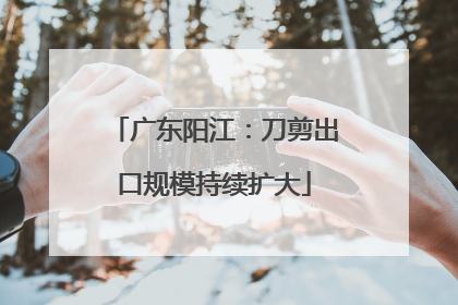 广东阳江：刀剪出口规模持续扩大