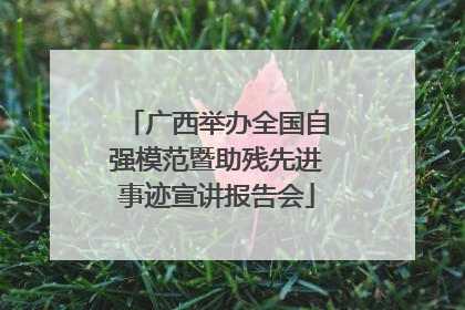 广西举办全国自强模范暨助残先进事迹宣讲报告会