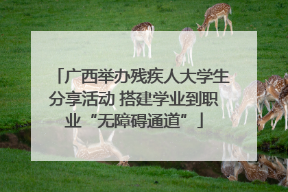广西举办残疾人大学生分享活动 搭建学业到职业“无障碍通道”