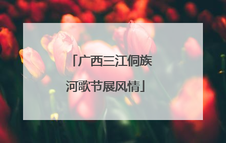 广西三江侗族河歌节展风情