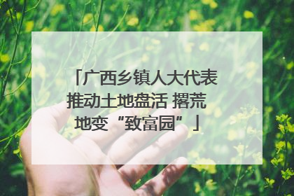 广西乡镇人大代表推动土地盘活 撂荒地变“致富园”