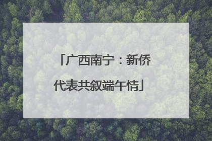 广西南宁：新侨代表共叙端午情