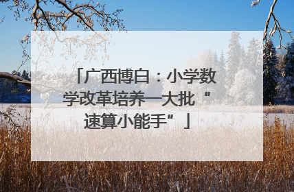 广西博白：小学数学改革培养一大批“速算小能手”
