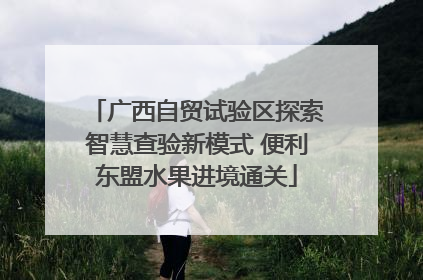 广西自贸试验区探索智慧查验新模式 便利东盟水果进境通关