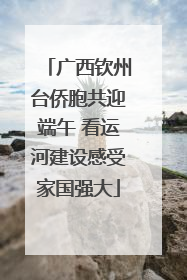 广西钦州台侨胞共迎端午 看运河建设感受家国强大