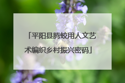 平阳县腾蛟用人文艺术编织乡村振兴密码
