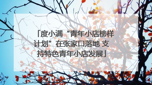 度小满“青年小店榜样计划”在张家口落地 支持特色青年小店发展