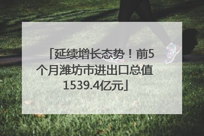 延续增长态势！前5个月潍坊市进出口总值1539.4亿元