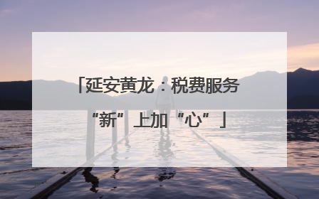 延安黄龙：税费服务“新”上加“心”