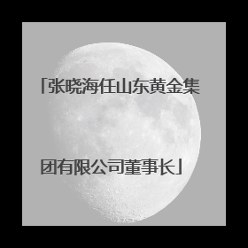 张晓海任山东黄金集团有限公司董事长