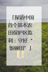 探访中国首个基本农田保护区监利：守好“饭碗田”
