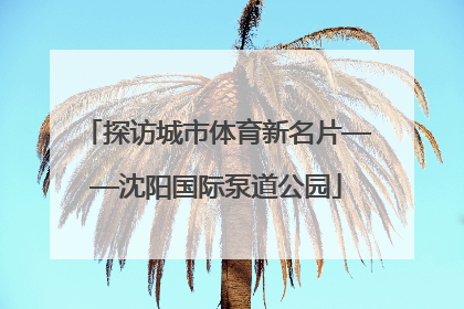 探访城市体育新名片——沈阳国际泵道公园