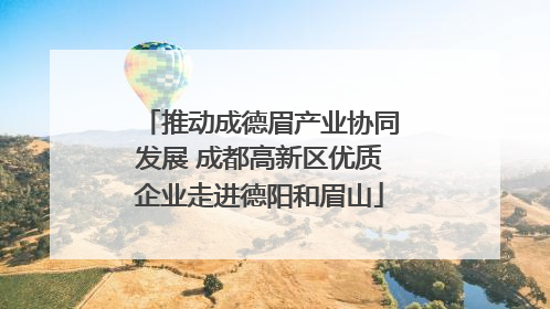 推动成德眉产业协同发展 成都高新区优质企业走进德阳和眉山