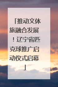 推动文体旅融合发展！辽宁省匹克球推广启动仪式启幕