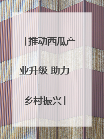 推动西瓜产业升级 助力乡村振兴