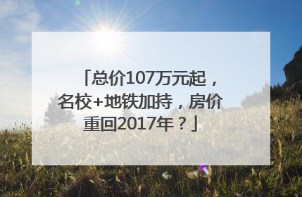 总价107万元起，名校+地铁加持，房价重回2017年？