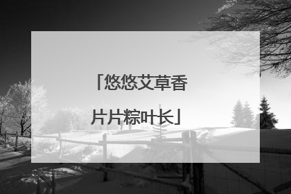 悠悠艾草香 片片粽叶长