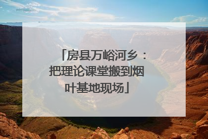 房县万峪河乡：把理论课堂搬到烟叶基地现场