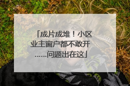 成片成堆！小区业主窗户都不敢开……问题出在这