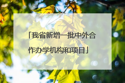 我省新增一批中外合作办学机构和项目