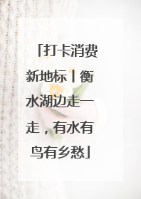 打卡消费新地标丨衡水湖边走一走，有水有鸟有乡愁