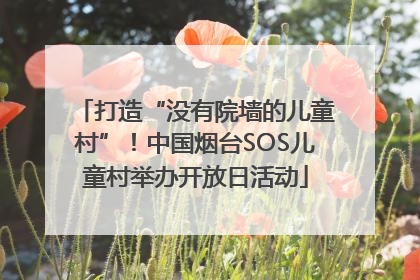 打造“没有院墙的儿童村”！中国烟台SOS儿童村举办开放日活动