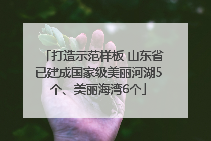 打造示范样板 山东省已建成国家级美丽河湖5个、美丽海湾6个