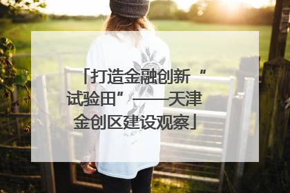 打造金融创新“试验田”——天津金创区建设观察