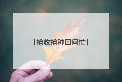 抢收抢种田间忙