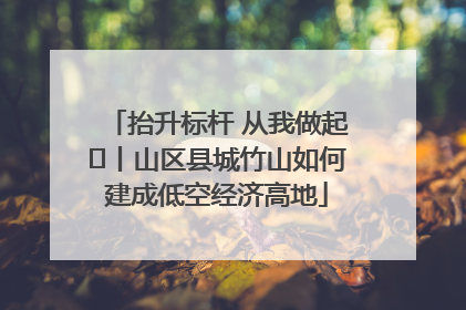 抬升标杆 从我做起⑭丨山区县城竹山如何建成低空经济高地