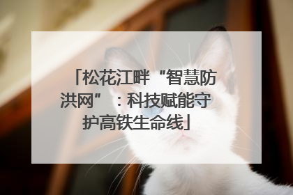 松花江畔“智慧防洪网”：科技赋能守护高铁生命线