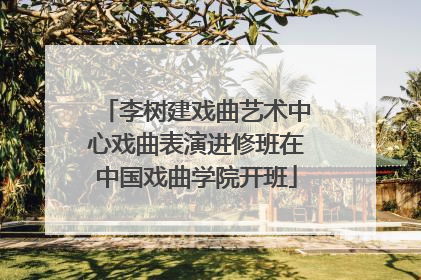 李树建戏曲艺术中心戏曲表演进修班在中国戏曲学院开班