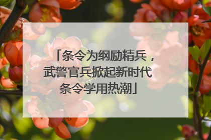 条令为纲励精兵，武警官兵掀起新时代条令学用热潮