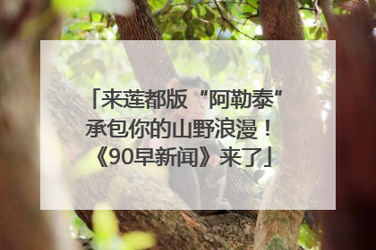 来莲都版“阿勒泰” 承包你的山野浪漫！《90早新闻》来了