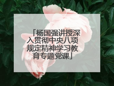 杨国强讲授深入贯彻中央八项规定精神学习教育专题党课