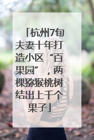 杭州7旬夫妻十年打造小区“百果园”，两棵猕猴桃树结出上千个果子
