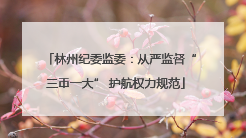 林州纪委监委：从严监督“三重一大” 护航权力规范