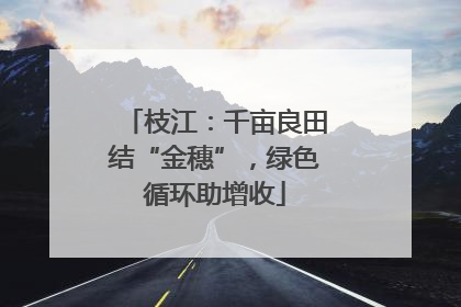 枝江：千亩良田结“金穗”，绿色循环助增收