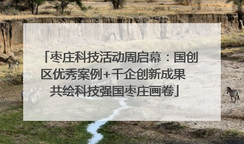 枣庄科技活动周启幕：国创区优秀案例+千企创新成果 共绘科技强国枣庄画卷