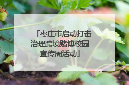枣庄市启动打击治理跨境赌博校园宣传周活动
