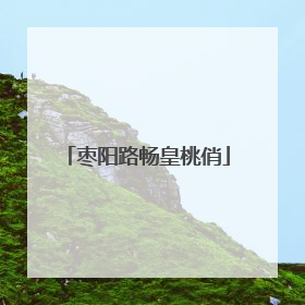 枣阳路畅皇桃俏