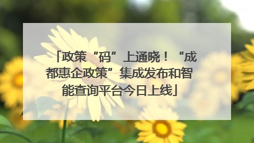 政策“码”上通晓！“成都惠企政策”集成发布和智能查询平台今日上线