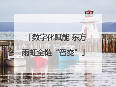 数字化赋能 东方雨虹全链“智变”