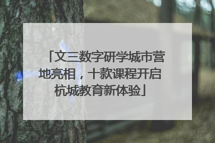 文三数字研学城市营地亮相，十款课程开启杭城教育新体验