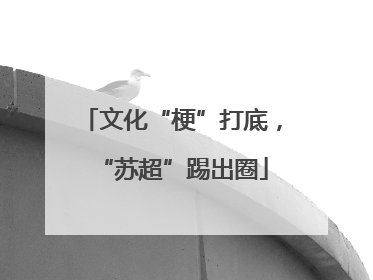 文化“梗”打底，“苏超”踢出圈