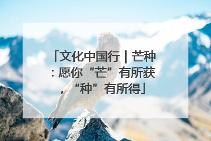 文化中国行｜芒种：愿你“芒”有所获，“种”有所得