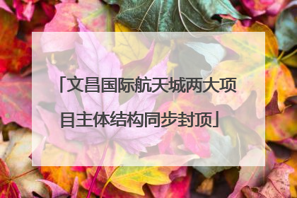 文昌国际航天城两大项目主体结构同步封顶